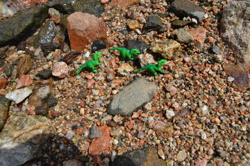 dino and stone on the beach
