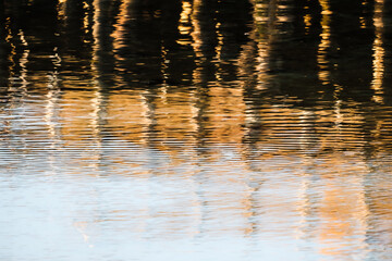 A wooden pier reflects on the water at sunset