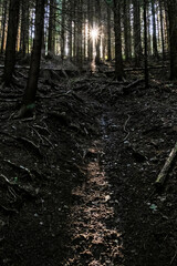 Sunny morning in Low Tatras mountains, Slovakia