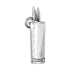 Hand drawn sketch of Cocktail drink in zombie glass  on a white background. Cocktail drinks. Drinks in cocktail glasses. Alcohol beverages