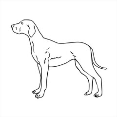 Pretty Puppy Dog coloring page Design for Kids Children preschool stock vector style illustration