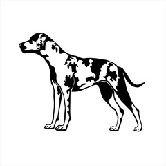 Pretty Puppy Dog coloring page Design for Kids Children preschool stock vector style illustration