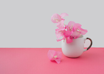 Bouquet of fresh pink flowers in white cup on pink and white background. Minimal concept
