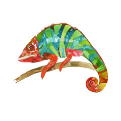 Green Iguana watercolor painting vector illustration,  "Grand Cayman Blue Iguana", lizard on the branch. Sleeping dragon big reptilia wild animal.