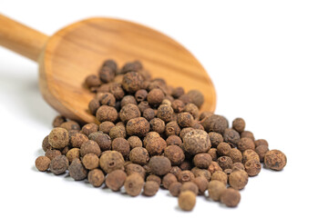 Piment, Pimenta dioica, auf Holzlöffel vor weißem Hintergrund