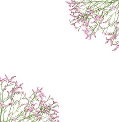 Obraz na płótnie Canvas Beautiful flower background of gypsophila flowers