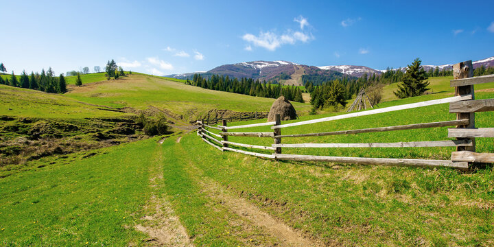 rural landscape in mountains. wooden fence along the path through grassy fields on rolling hills. snow capped ridge in the distance beneath a blue sky. beautiful nature scenery on a bright sunny day