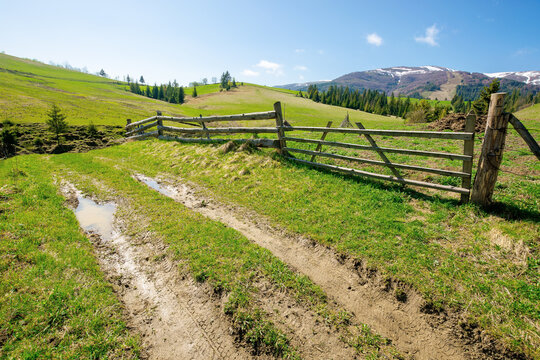 rural landscape in mountains. wooden fence along the path through grassy fields on rolling hills. snow capped ridge in the distance beneath a blue sky. beautiful nature scenery on a bright sunny day