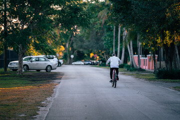 people walking in the city bike 