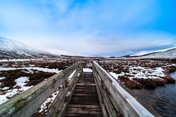 bridge over the river