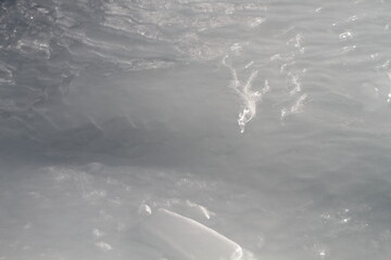 The trees were covered with silver frost