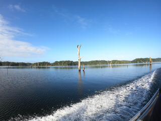 De la for&ecirc;t engloutie de Petit-Saut, il ne reste que les cimes &eacute;merg&eacute;es des arbres morts qui forment un nouveau paysage insolite dans l&rsquo;environnement guyanais.