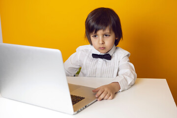 boy child businessman in a white shirt and bow tie sits at a laptop at a desk in a white office