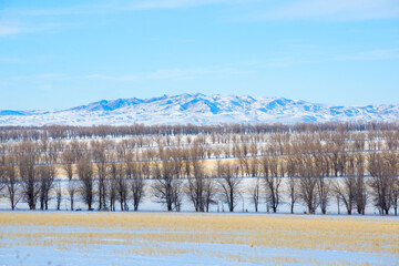 Winter landscape on a frosty day in Altyn-Emel, Kazakhstan