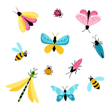 Insects set. Colorful hand-drawn butterflies, dragonfly and beetles in a simple childish cartoon style. Isolated over white background