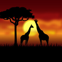 Fototapeta na wymiar giraffes in africa at night