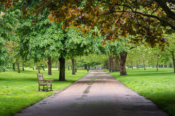 Tranquil view of Hyde Park in the city of London, UK