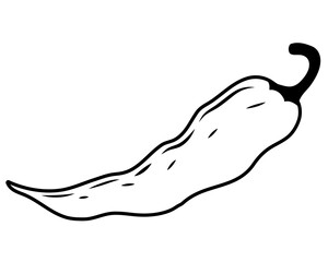 Chili pepper line. Beautiful new icons of hot peppers of different colors. Seasoning for spicy food.