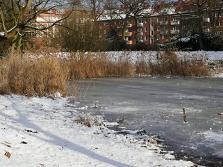 Zugefrorener Teich in der Stadt
