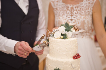 The bride and groom are going to cut a beautiful white wedding cake 252