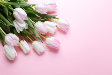 Obraz na płótnie Canvas Tulips on pink background