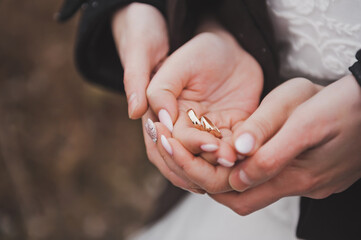 Gold wedding rings on the palms of the bride and groom 2661.