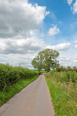 British summertime country road.