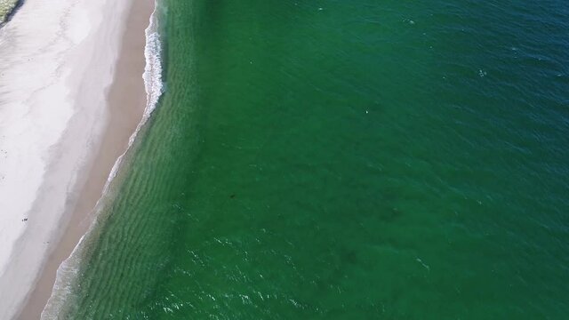 slow rotation looking straight down on calm waves with white sea birds and emerald water
