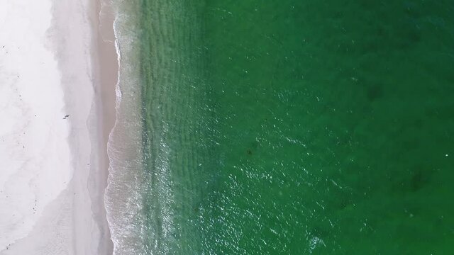 slowed down top down view of emerald water with waves crashing on shore while white sea birds fly below.