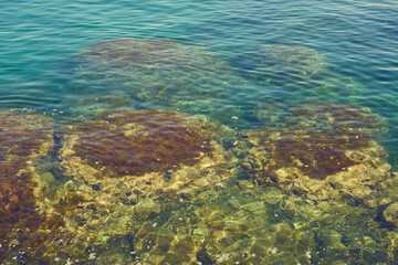 The rocky coast of the mediterranean sea with turquoise water as a natural background.