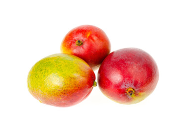 Ripe, juicy, sweet red-green mango. Exotic fruits isolated on white. Studio Photo
