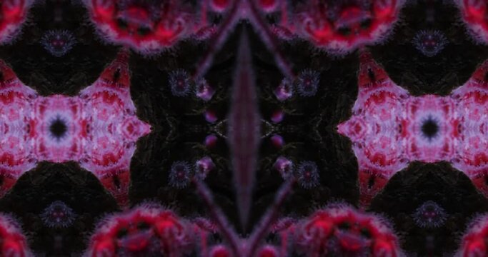 Alien with tentacles kaleidoscope footage. Marine animals and kaleidoscope effect. Sea anemone with tentacles moves underwater
