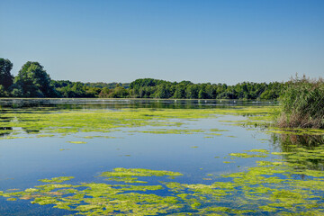 The Kittlitzer Hofsee is a 178 hectare nature reserve and is located southeast of Ratzeburg in the Lauenburg Lakes Nature Park. The lake offers a habitat for numerous animals and plants.