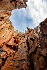 climber on a rock