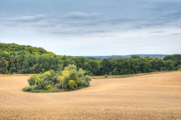 Fototapeta na wymiar The fields have been harvested, the forest is changing color and clouds hang over the land. Autumn has arrives in north-west Mecklenburg, which is characterized by forests, arable land and pastures.