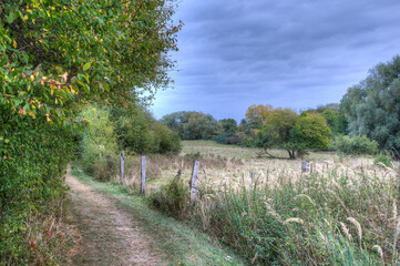 Hiking trail in the nature reserve Steinerne Rinne and Mechower Holz, which leads through a varied landscape with extensive forests and open spaces.