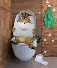 A cat is sitting on a white toilet bowl and reading a tablet in a beige bathroom.