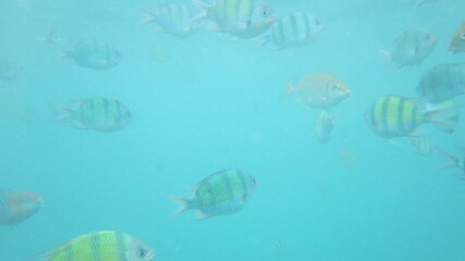 Beutifull Phi Phi Island Thailand