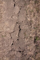 detail with deep cracks in countryside dirt road dry surface, terrible drought, hot sunny summer day without rain, vulnerability of ecosystem concept
