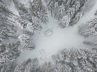 Aerial view on the Forest. Winter Landscape. Forest under snow. Drone Photography