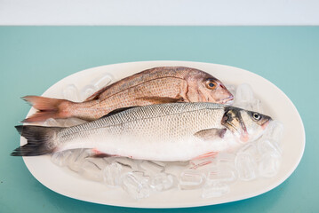 Fresh raw fish seabass and Red porgy on a plate with ice