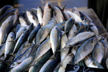 Fish for sale on the market bench, Le Vieux Port, Marseille, France
