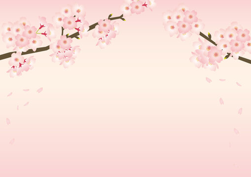 240 Best 寄せ書き Images Stock Photos Vectors Adobe Stock