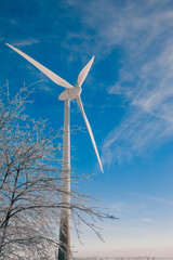 wind turbine in winter. Large wind turbine next to a tree with snow. Winter in East Frisia	