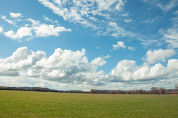 Fototapeta premium Summertime fields and landscape.