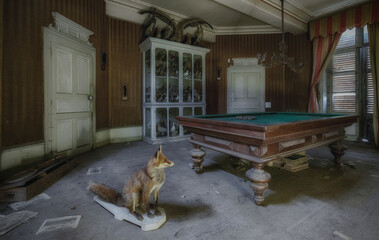 Old house with taxidermy room