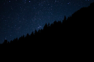 Fototapeta na wymiar Wunderschöner Nachthimmel über einem tannenwald