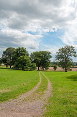 Fototapeta premium Tractor tracks with a landscape with trees