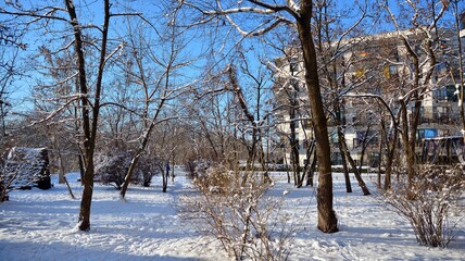 A modern residential area on a frosty winter morning.
