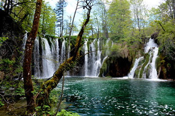 Plitviče Lakes National Park is a 295-sq.-km forest reserve in central Croatia